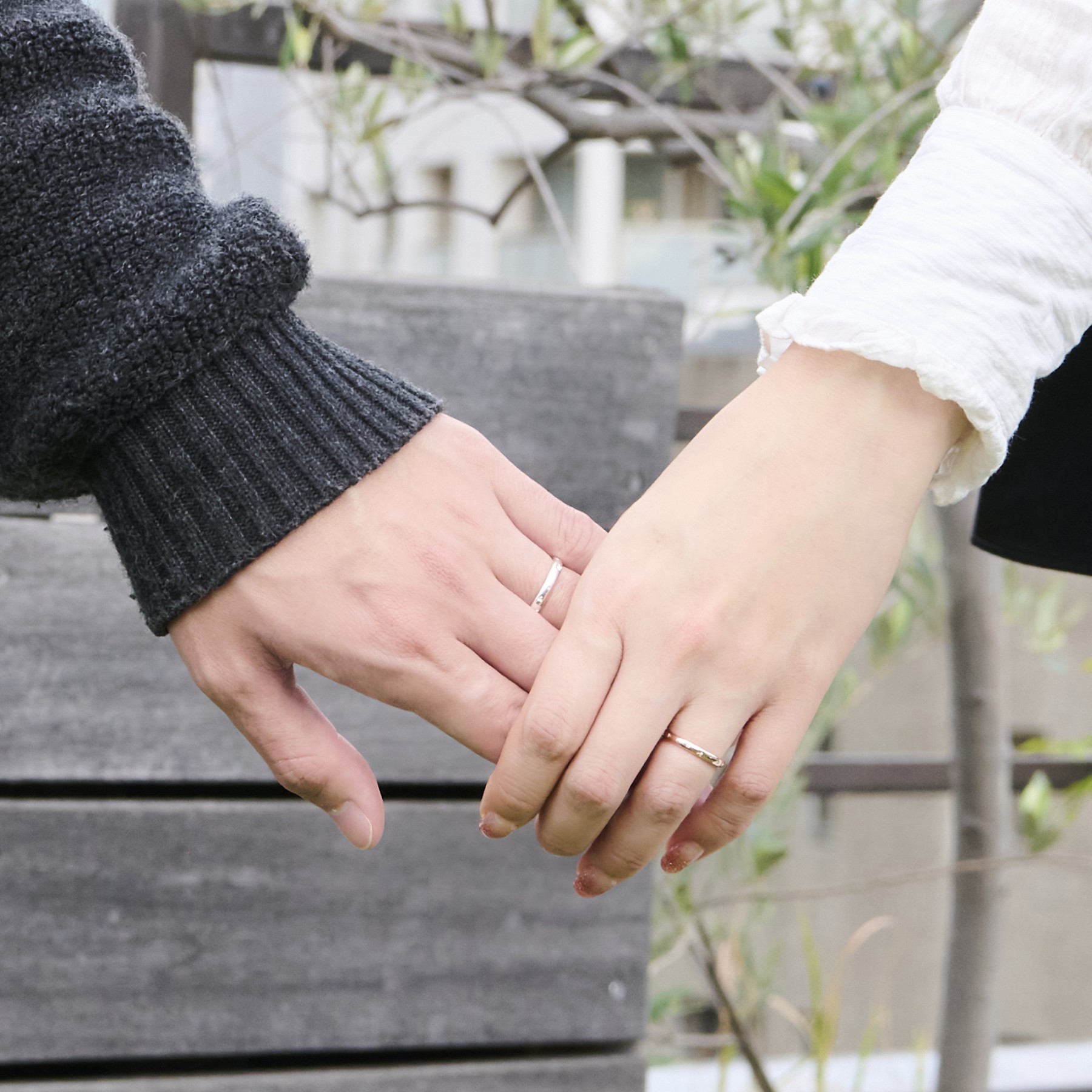 【Christmas Collectio…