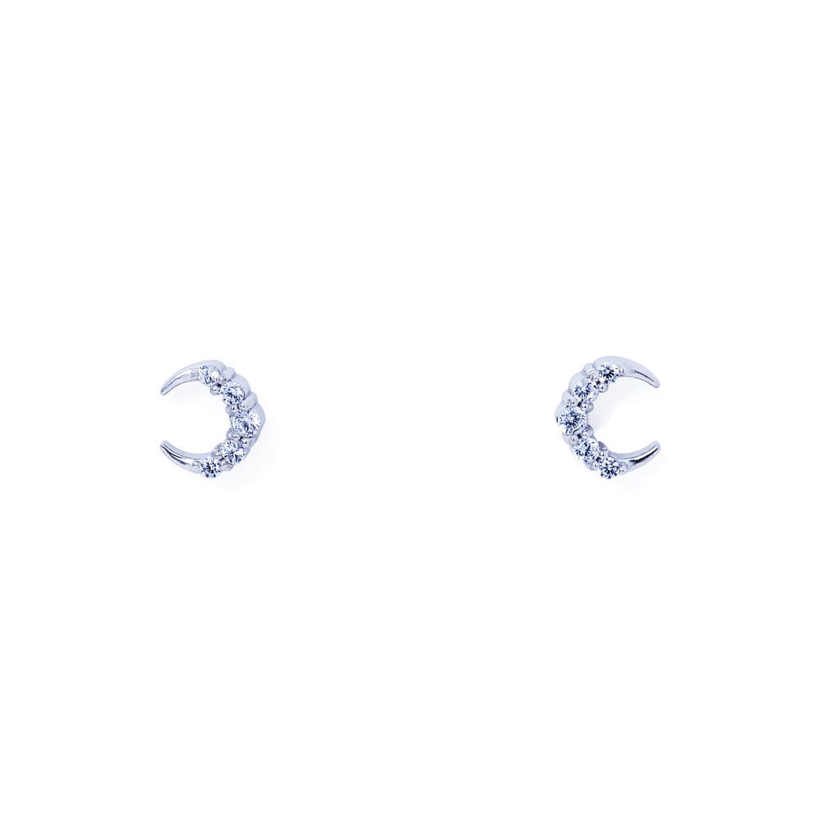 【Winter Collection2026】サージカルステンレス ピアス TPE1019CZ