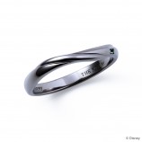 ディズニープリンセス ラプンツェル / …