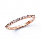 シルバーリング SR1013CB