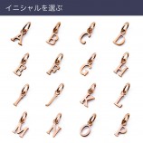 サージカルステンレス ネックレスチャーム…