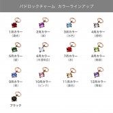 パドロックチャーム ACH415