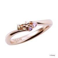 ディズニープリンセス ラプンツェル / …