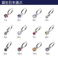 シルバー ネックレスチャーム SCH72…