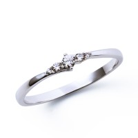 シルバーリング SR1006CB