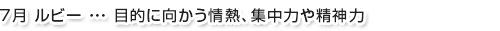 7月ルビー…目的に向かう情熱、嫉妬や愛の疑念をはらす