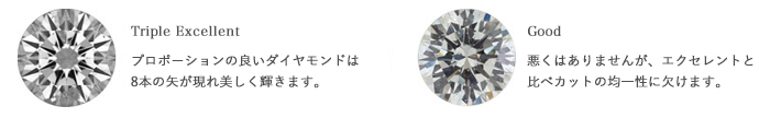Triple Excellent -トリプルエクセレント-